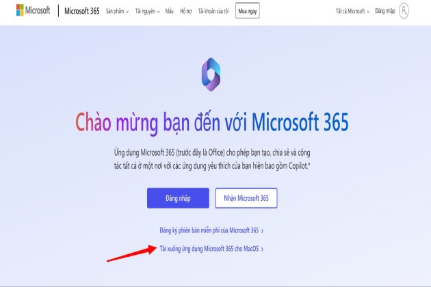 Hướng dẫn cài Office 365 cho MacBook M1 chi tiết